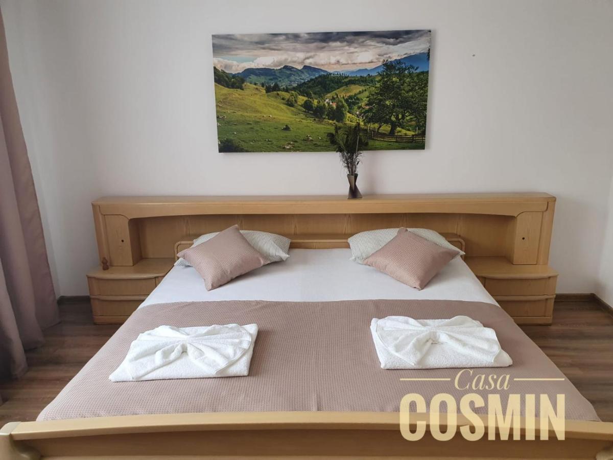 Hotel Casa Cosmin Cincu Esterno foto