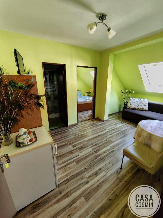 Hotel Casa Cosmin Cincu Esterno foto