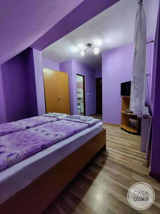 Hotel Casa Cosmin Cincu Esterno foto